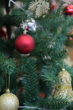 Çam Noel ağacı hediyesi.