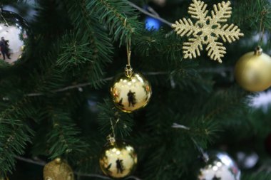 Çam Noel ağacı hediyesi.