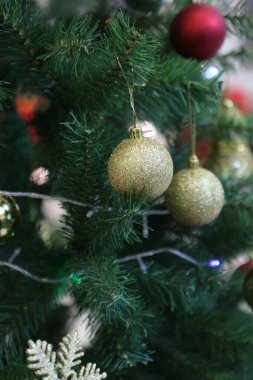 Çam Noel ağacı hediyesi.