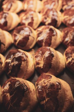 Bir grup çeşit kurabiye. Çikolata parçacıklı, yulaflı, kuru üzümlü, beyaz çikolatalı.