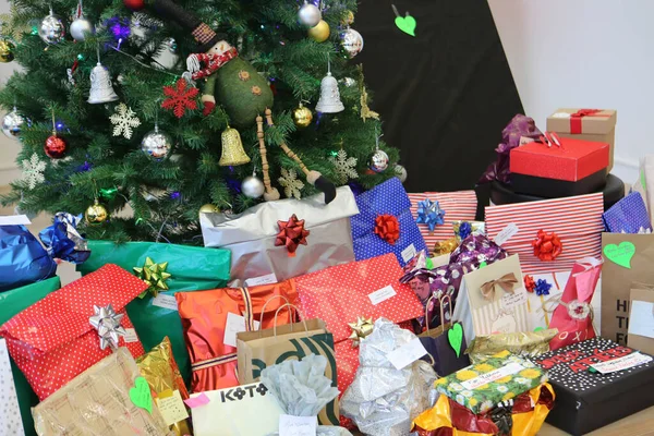 Çam Noel ağacı hediyesi.