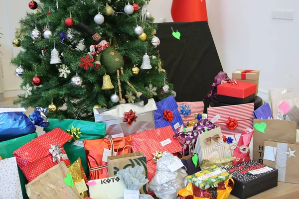 Çam Noel ağacı hediyesi.