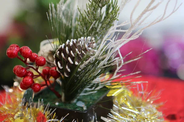 Pine Christmas Tree Gift — Stock Photo, Image