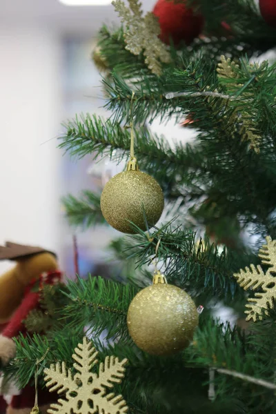 Fenyő Karácsonyfa Ajándék — Stock Fotó