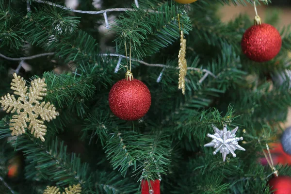 Dennen Kerstboom Cadeau — Stockfoto
