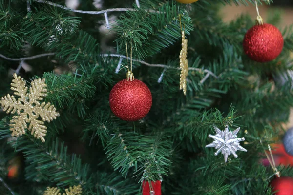 Çam Noel Ağacı Hediyesi — Stok fotoğraf