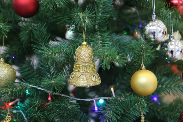 Dennen Kerstboom Cadeau — Stockfoto