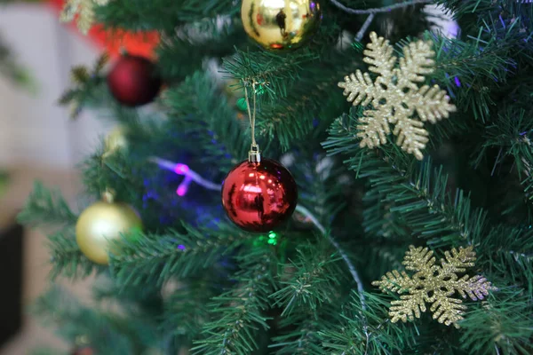 Pine Christmas Tree Gift — Stock Photo, Image