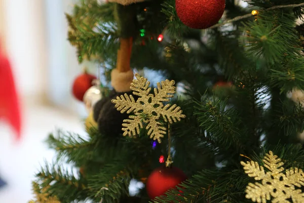 Dennen Kerstboom Cadeau — Stockfoto