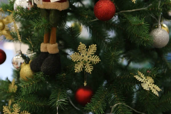 松树圣诞树礼物 — 图库照片