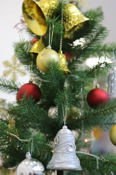 Dennen Kerstboom Cadeau — Stockfoto