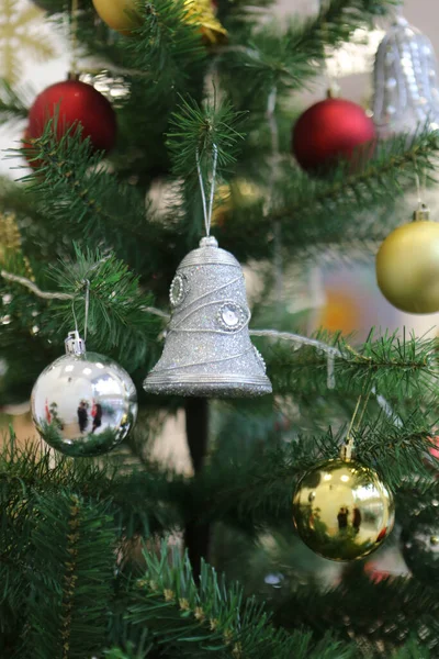 Dennen Kerstboom Cadeau — Stockfoto