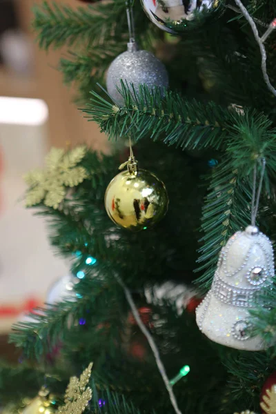 Pinho Presente Árvore Natal — Fotografia de Stock