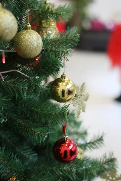 Fenyő Karácsonyfa Ajándék — Stock Fotó