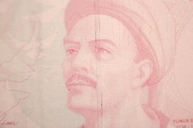 Türk para birimi ve Türk lireti banknotları