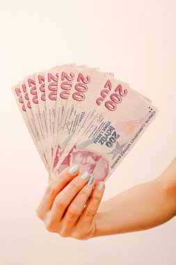 Türk para birimi ve Türk lireti banknotları