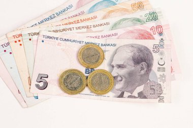 Türk para birimi ve Türk lireti banknotları
