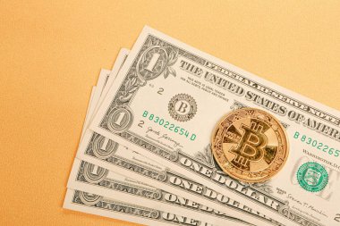 Multi Euro ve Dolar nakit, farklı türde yeni nesil banknotlar, ve bitcoin