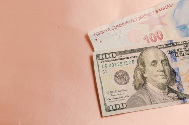 Türk Lirası ve Amerikan Doları