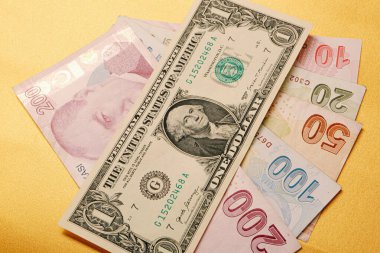 Türk Lirası ve Amerikan Doları