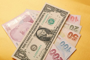 Türk Lirası ve Amerikan Doları