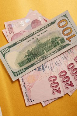 Türk Lirası ve Amerikan Doları