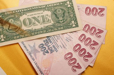 Türk Lirası ve Amerikan Doları