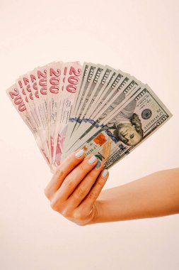 Türk Lirası ve Amerikan Doları