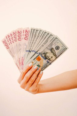 Türk Lirası ve Amerikan Doları