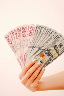 Türk Lirası ve Amerikan Doları