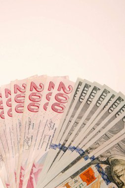 Türk Lirası ve Amerikan Doları
