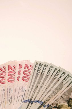Türk Lirası ve Amerikan Doları