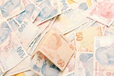 Türk Lirası ve Amerikan Doları