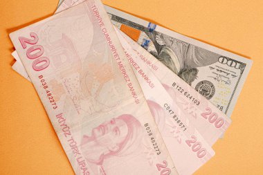 Türk Lirası ve Amerikan Doları