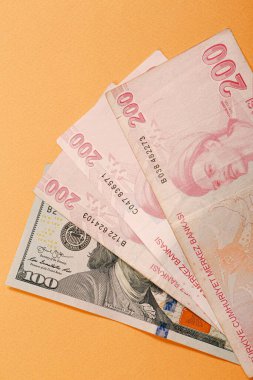 Türk Lirası ve Amerikan Doları