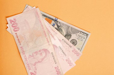 Türk Lirası ve Amerikan Doları