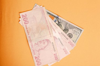 Türk Lirası ve Amerikan Doları