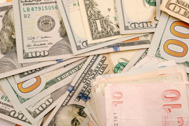 Türk Lirası ve Amerikan Doları