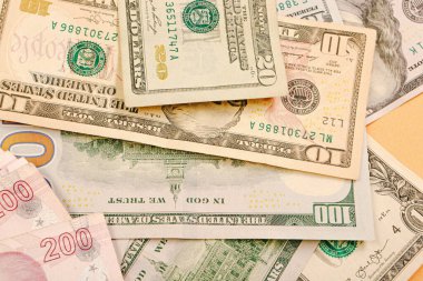 Türk Lirası ve Amerikan Doları