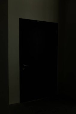 minimalist door, front door, wooden door, big wooden door