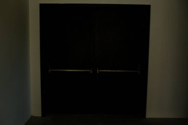 minimalist door, front door, wooden door, big wooden door
