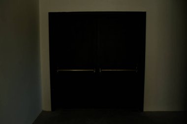 minimalist door, front door, wooden door, big wooden door