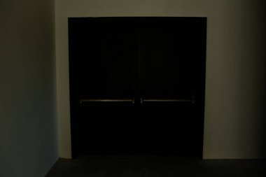 minimalist door, front door, wooden door, big wooden door