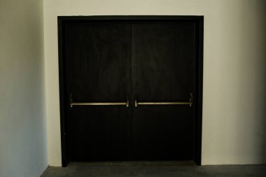 minimalist door, front door, wooden door, big wooden door
