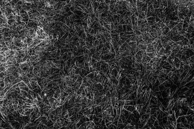 Gri yapay ot doğal arka plan