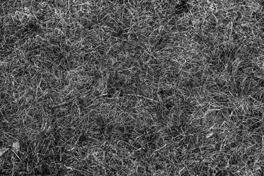 Gri yapay ot doğal arka plan