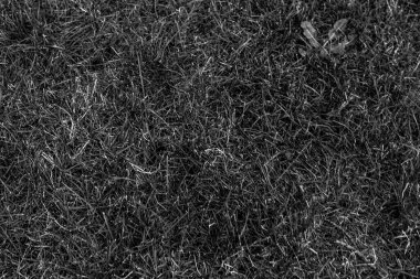 Gri yapay ot doğal arka plan