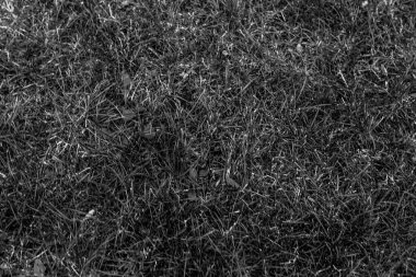 Gri yapay ot doğal arka plan