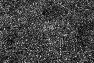 Gri yapay ot doğal arka plan