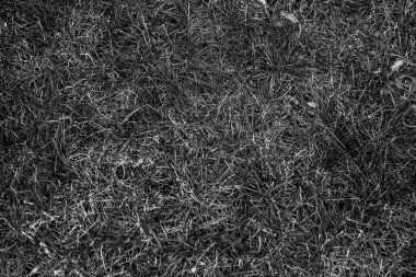 Gri yapay ot doğal arka plan